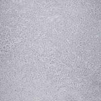 MODUL-02440-58